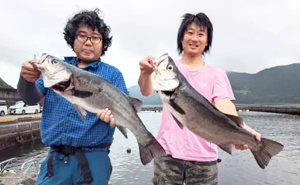 尾鷲湾で良型ヒラスズキにオオモンハタが狙いどき！【沖のルアー釣り最新情報8選・三重】