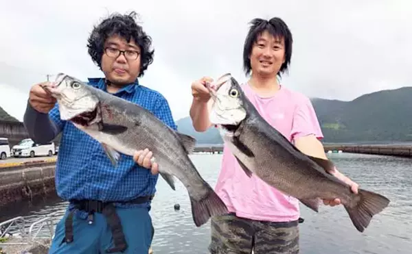 「尾鷲湾で良型ヒラスズキにオオモンハタが狙いどき！【沖のルアー釣り最新情報8選・三重】」の画像