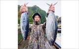 「尾鷲湾で良型ヒラスズキにオオモンハタが狙いどき！【沖のルアー釣り最新情報8選・三重】」の画像3