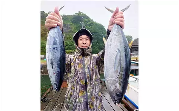 「尾鷲湾で良型ヒラスズキにオオモンハタが狙いどき！【沖のルアー釣り最新情報8選・三重】」の画像