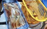 「尾鷲湾で良型ヒラスズキにオオモンハタが狙いどき！【沖のルアー釣り最新情報8選・三重】」の画像4