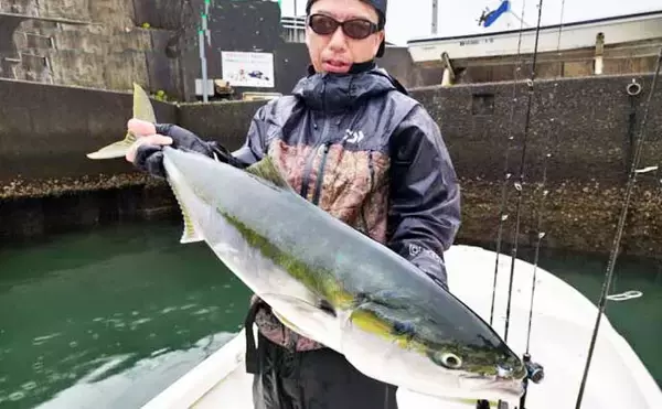 「尾鷲湾で良型ヒラスズキにオオモンハタが狙いどき！【沖のルアー釣り最新情報8選・三重】」の画像