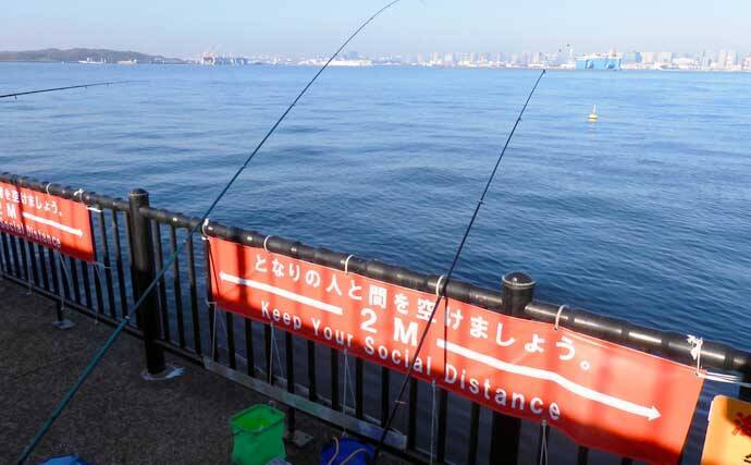 若洲海浜公園でサビキ釣り 清掃活動 サッパをゲットしプラゴミを排除 22年1月4日 エキサイトニュース 2 3