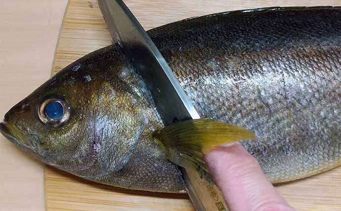 釣魚で作る「ご飯のお供」レシピ：イサギの焼き絞め　煮付けを焼く？