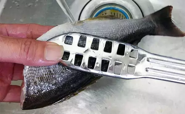 「釣魚で作る「ご飯のお供」レシピ：イサギの焼き絞め　煮付けを焼く？」の画像