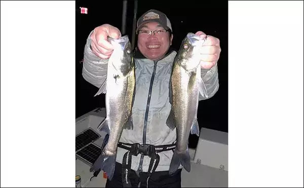 「伊勢湾奥の夜のボートルアー釣りで45cm級シーバス＆良型アジを連打」の画像