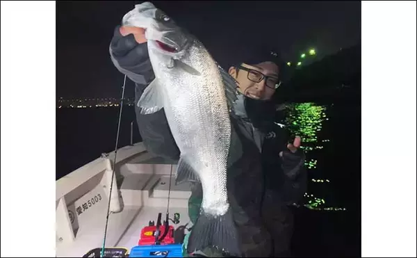 「【ボートルアーシーバス釣りの魅力と難しさ】 数が釣れるから初級者が腕を磨くのに最適」の画像