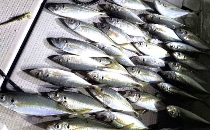 【沖のルアー釣果速報】志摩沖のトンジギで24.5kgタネトン降臨！（三重）