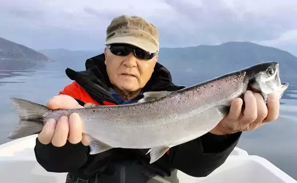 「「解禁初日から好反応！」琵琶湖トローリングでビワマス52cm含む10匹キャッチ【滋賀】」の画像