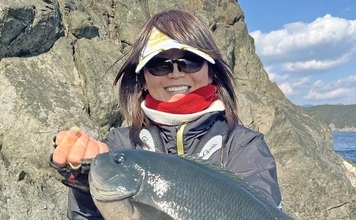 方座浦の磯フカセ釣りで寒グレ好反応【三重】40cm超口太キャッチ連発