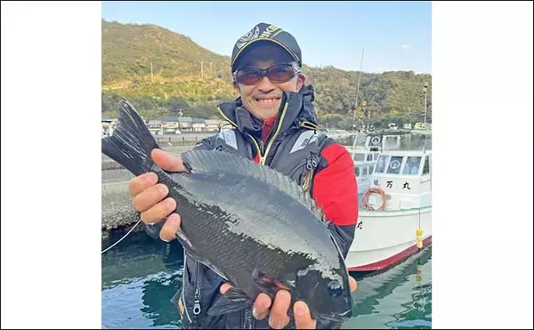 「方座浦の磯フカセ釣りで寒グレ好反応【三重】40cm超口太キャッチ連発」の画像