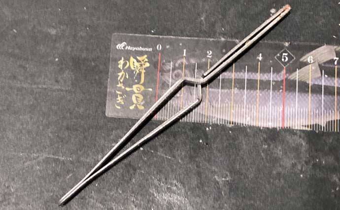 100円均一ショップで買うことができる【ワカサギ釣りの必携小道具4選】