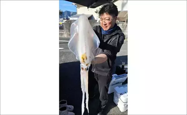 「【沖のルアー釣果速報】キャスティングでサワラ80cmオーバー3匹にヒラスズキ76cm好捕！（三重）」の画像
