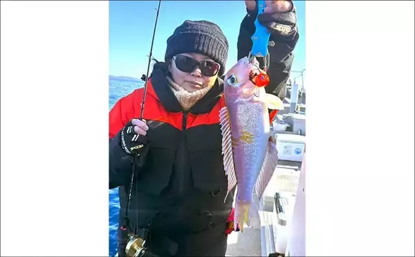 「【沖のルアー釣果速報】キャスティングでサワラ80cmオーバー3匹にヒラスズキ76cm好捕！（三重）」の画像