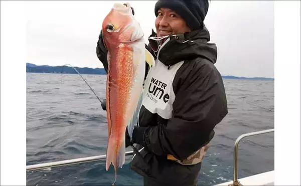 「【沖のルアー釣果速報】キャスティングでサワラ80cmオーバー3匹にヒラスズキ76cm好捕！（三重）」の画像