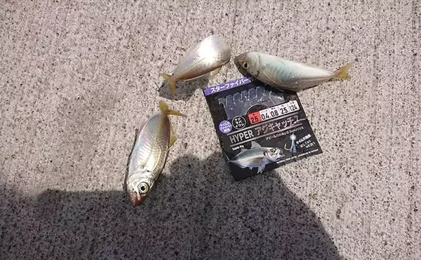 「『清水港海づり公園』でちょい投げとサビキ釣り満喫【静岡】シロギス連打にマメアジ入れ食い！」の画像