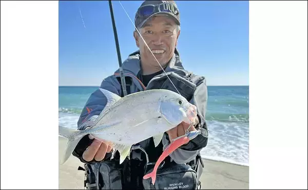 「遠州灘のサーフルアー釣りで本命ヒラメに30cmメッキを手中【静岡・福田海岸】」の画像