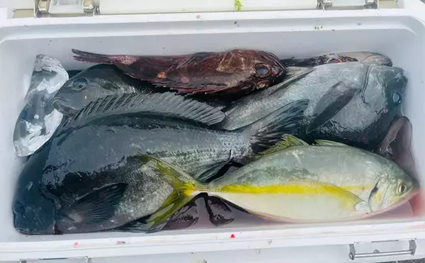 「「想定外のゲスト・シマアジ登場でテンションMAX！」宮崎での沖磯フカセ釣りを満喫」の画像