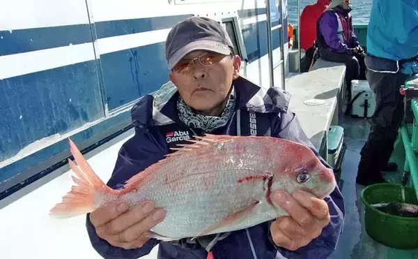 「外房片貝沖のハナダイ釣りで40cm級交じりの爆釣劇！【千葉】規定数50尾到達者も」の画像