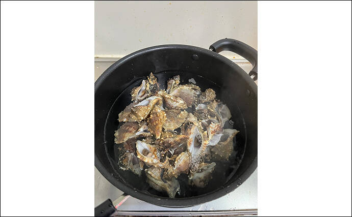 関東ではあまり見かけないけど関西ではメジャーな『ミヤコボラガイ』はとても美味