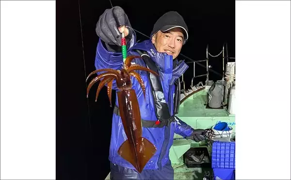 「「2026年はヤリイカのアタリ年！」尾鷲湾イカメタルゲームで大型が続々登場【三重】」の画像