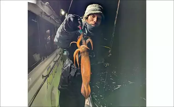 「「2026年はヤリイカのアタリ年！」尾鷲湾イカメタルゲームで大型が続々登場【三重】」の画像