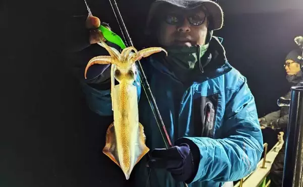 「「2026年はヤリイカのアタリ年！」尾鷲湾イカメタルゲームで大型が続々登場【三重】」の画像