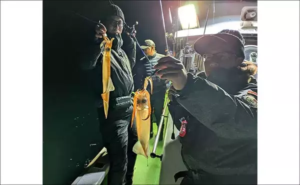 「「2026年はヤリイカのアタリ年！」尾鷲湾イカメタルゲームで大型が続々登場【三重】」の画像