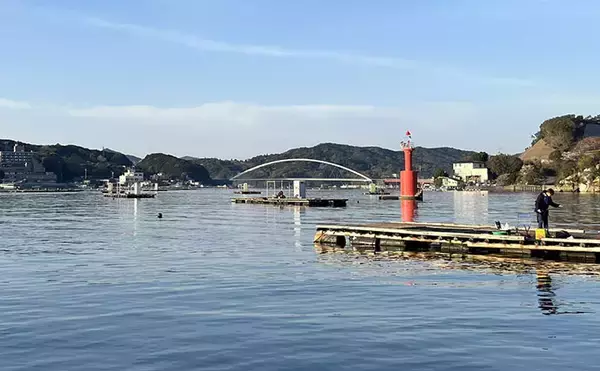 「「乗っ込みシーズン開幕！」筏でのダンゴ釣りで良型クロダイ5枚【三重】」の画像