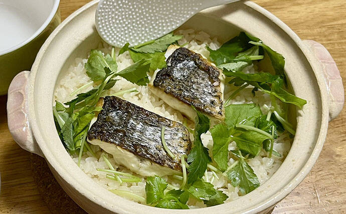 「乗っ込みシーズン開幕！」筏でのダンゴ釣りで良型クロダイ5枚【三重】