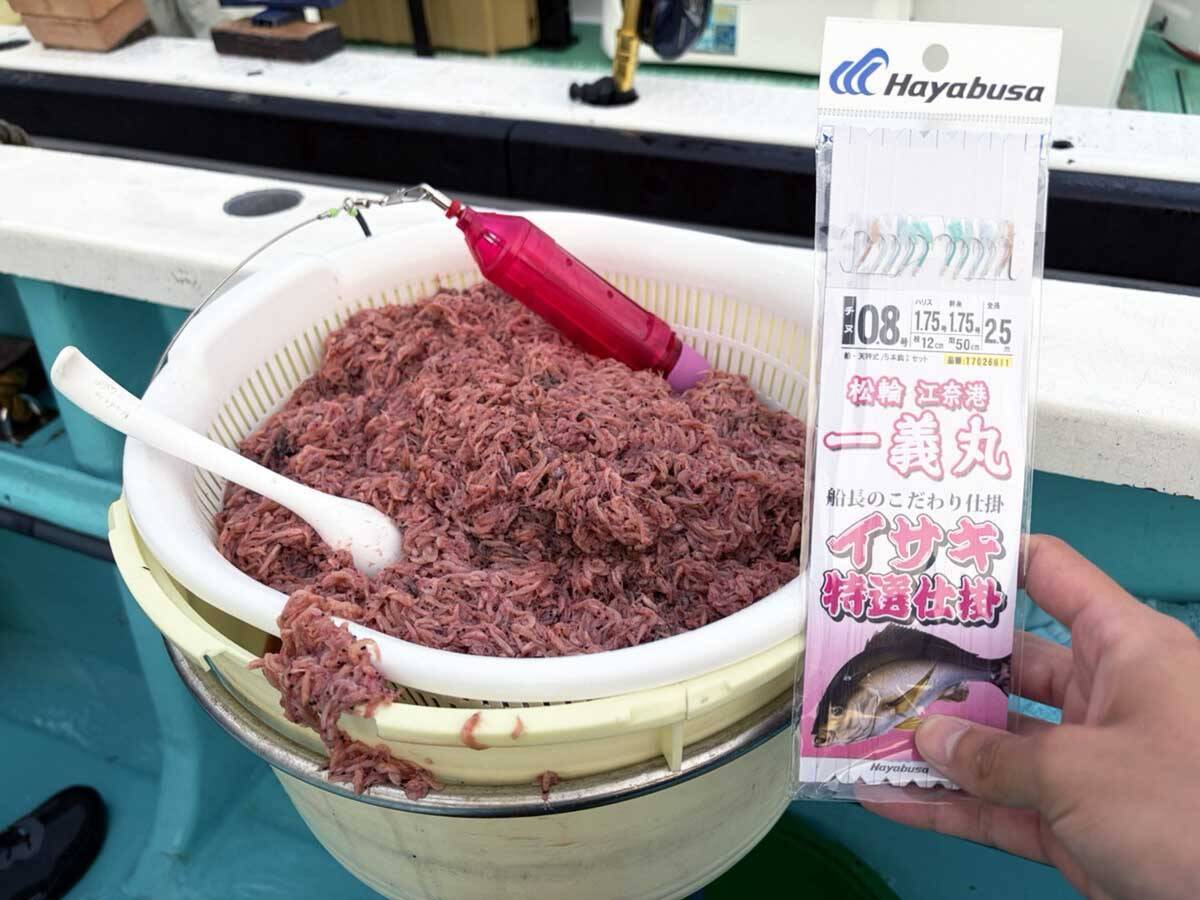 東京湾・剣崎沖で30cm超え含みイサキ爆釣で早上がり！ ダブル・トリプルも多数で80匹オーバー