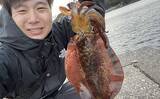 「真冬のエギング釣行でアオリイカ3尾【熊本・上天草】 厳寒期の場所選びのコツとは？」の画像1