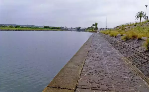 「「雨予報でも行って正解！」田中川河口のチョイ投げ釣りでハゼ25匹キャッチ【三重・津市】」の画像