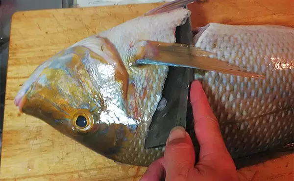 「釣魚で作る「食品ロス削減」レシピ：タバメ腹骨の塩焼き　デカいほど美味い！」の画像