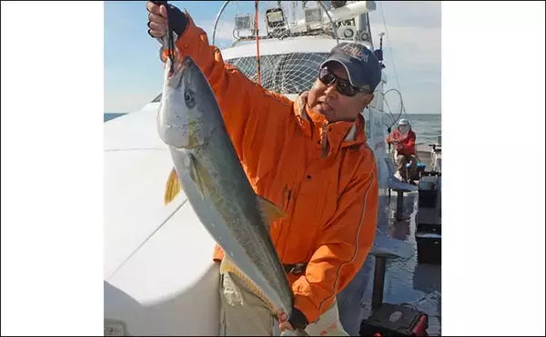 「第二大福丸での落とし込み釣りでヒラマサ6尾＆良型マダイを手中【福岡・大島】探見丸でベイト層を攻略」の画像