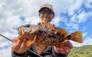 ラン＆ガンルアーゲームで6魚種＆良型ガシラ27cmを手中【三重】根魚30匹超えの充実釣果に