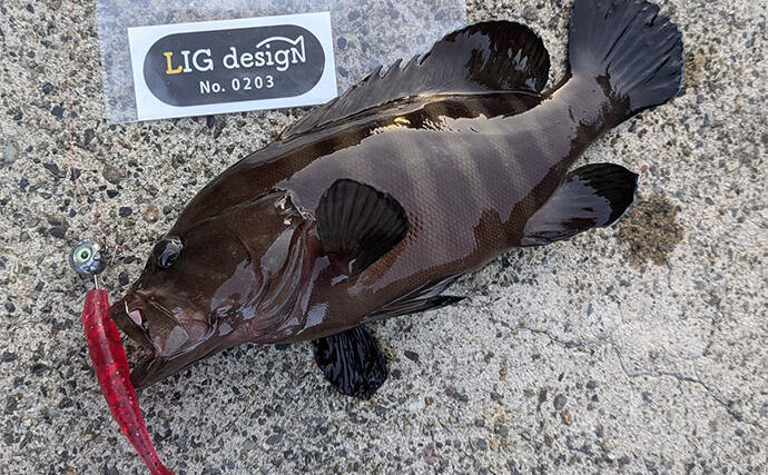 ラン＆ガンルアーゲームで6魚種＆良型ガシラ27cmを手中【三重】根魚30匹超えの充実釣果に