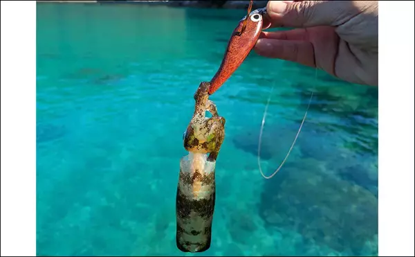 「ラン＆ガンルアーゲームで6魚種＆良型ガシラ27cmを手中【三重】根魚30匹超えの充実釣果に」の画像