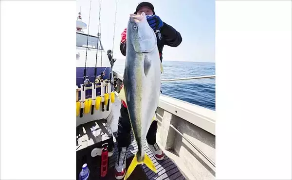 「【沖のルアー釣果速報】特大ヒラマサ11.8kg浮上！響灘ジギングで青物乱舞（福岡）」の画像