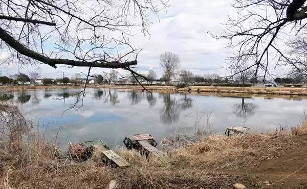 今週のヘラブナ推薦釣り場2026【群馬・近藤沼】