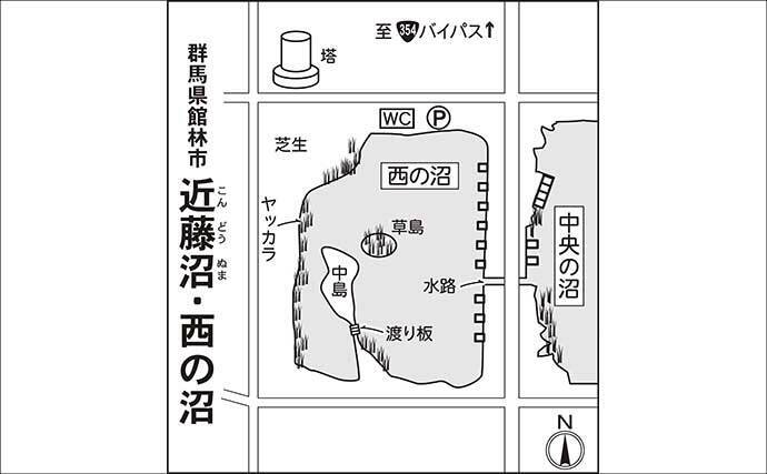 今週のヘラブナ推薦釣り場2026【群馬・近藤沼】