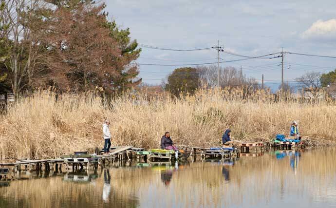 今週のヘラブナ推薦釣り場2026【群馬・近藤沼】