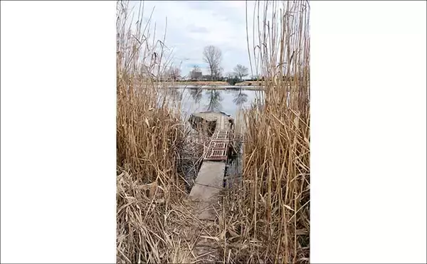 「今週のヘラブナ推薦釣り場2026【群馬・近藤沼】」の画像