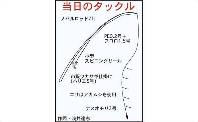 コイ科で最も美味な『ホンモロコ』を釣る！【長命寺川・滋賀】素焼きに舌鼓