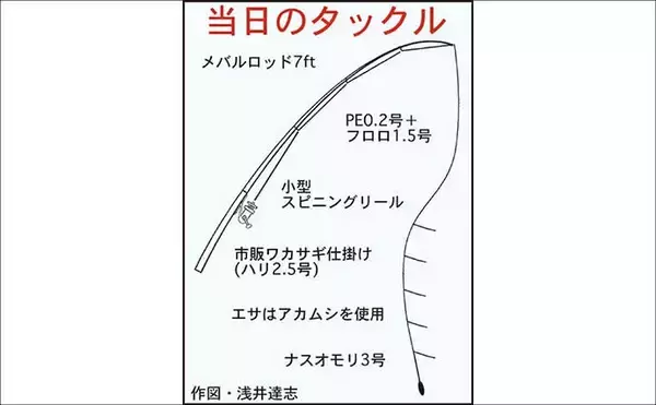 「コイ科で最も美味な『ホンモロコ』を釣る！【長命寺川・滋賀】素焼きに舌鼓」の画像