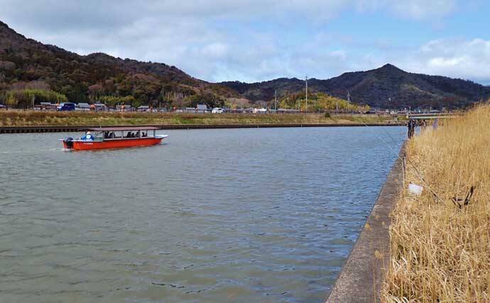 コイ科で最も美味な『ホンモロコ』を釣る！【長命寺川・滋賀】素焼きに舌鼓
