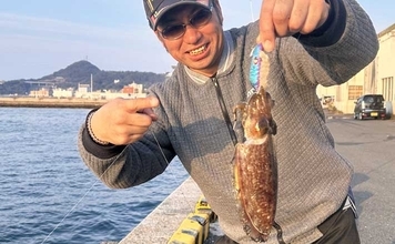 「ズル引きするだけでOK！」陸っぱりコウイカ釣りで本命3匹キャッチに成功【福岡】
