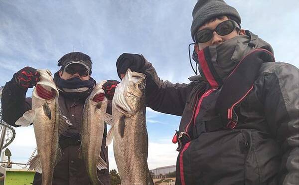 東京湾22 ジギングシーバス釣り入門 タックル 釣り方 釣況 22年2月11日 エキサイトニュース 東京湾22 ジギングシーバス釣り入門 タックル 釣り方 釣況 22年2月11日 エキサイトニュース