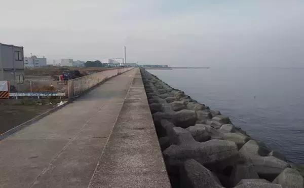 「冬の海釣りに「ジグヘッド＋虫エサ」のススメ　アタリ連発を楽しもう」の画像