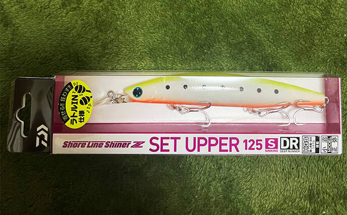 LSJ（ライトショアジギング）で持っておきたい【メタルジグ以外のルアーたち】